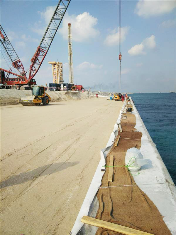 DIRD Temporary Jetty2